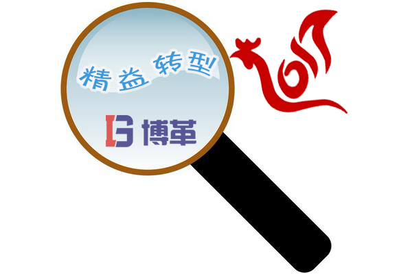 2017年博革精益轉(zhuǎn)型 2017年博革精益轉(zhuǎn)型
