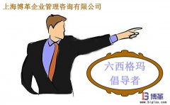 六西格瑪管理中倡導(dǎo)者的職責是什么？
